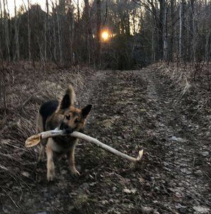 Meet your Posher, Ryan